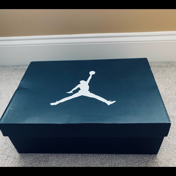Air Jordan Retro 10 Cool Grey